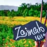 Arts : Zainab 🌼