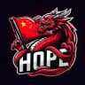 HOPE 中国希望国际服过检测通知反馈频道