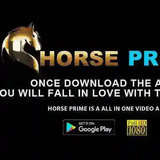 ๐ตHORSE PRIME