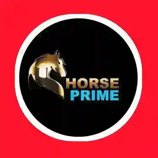 🎗HORSE PRIME