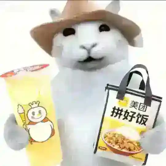 直装/内核/改文件 破解vpn公益软件（看置顶）