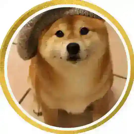 HQOFs Backup