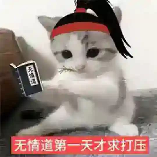 主频道