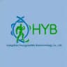 HYB Channel