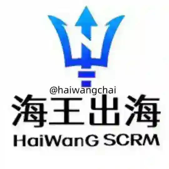 SCRM 海王出海 翻译计数器 Profile