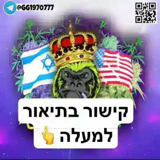 ירוק בנוף הגליל בוטיק