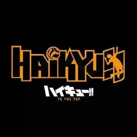 Haikyuu All Season MM Sub