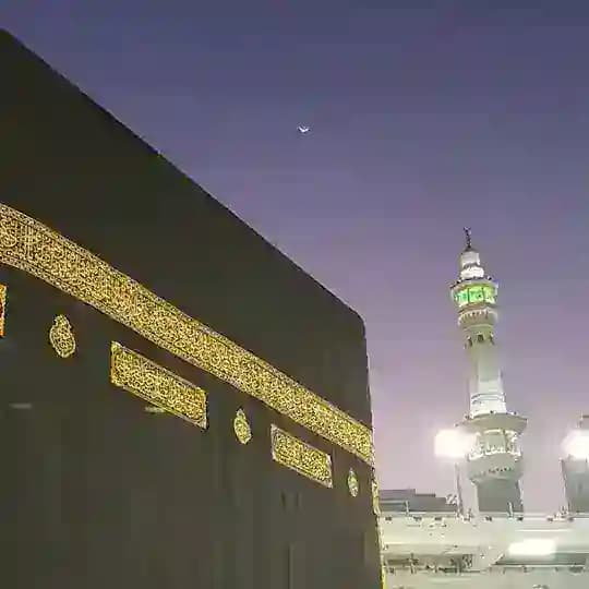 حــــنـــان فـــــؤاد