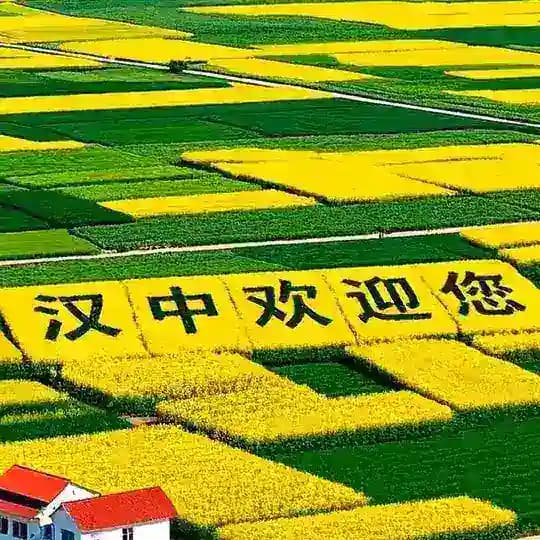 汉中公开榜