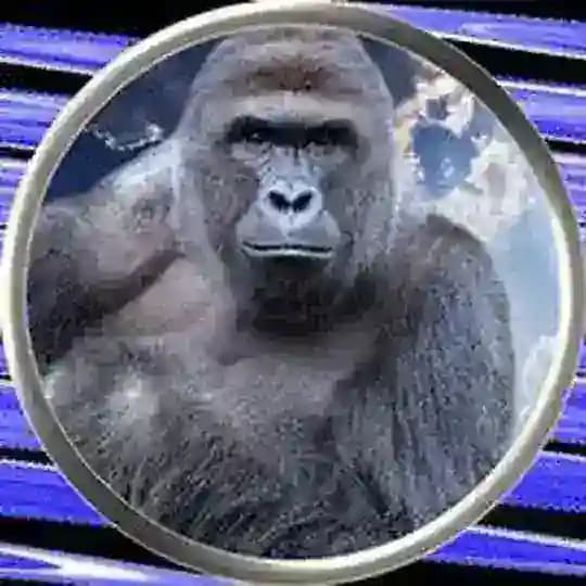 Harambe Portal