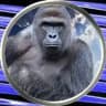 Harambe Portal