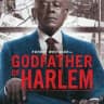 GODFATHER OF HARLEM SEASON 1,2,3,4 SERIES