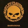 Harley-Davidson Barvikha