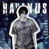 HAVΞИUS.