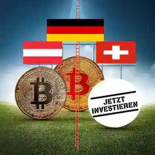 Bitcoin-Handel und Kryptowährung: professioneller Forex-Händler mit 100 % Gewinn