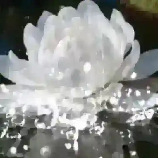 𝕳𝖊𝖗𝖟𝖊𝖓𝖘𝖜𝖆𝖍𝖗𝖍𝖊𝖎𝖙𝖊𝖓 🪷•*🧚♀️*☀️🕉☀️*🧚*•🪷