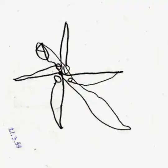 Хга-На-Конза
