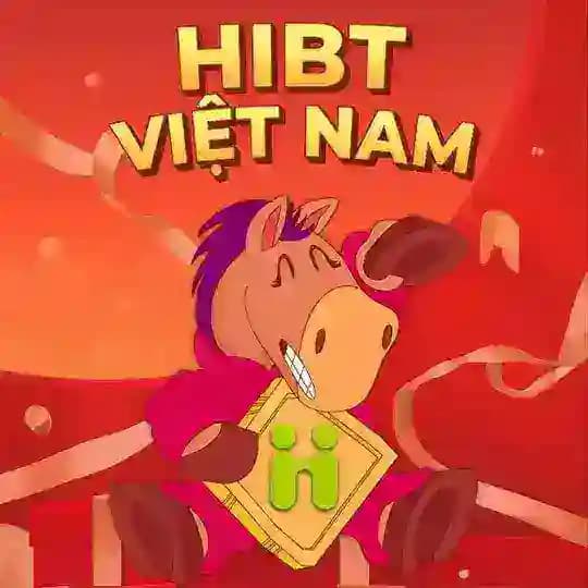 HiBT Việt Nam Profile
