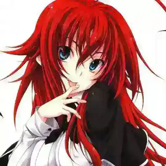 High School DxD