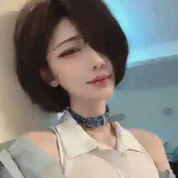 西瓜冰豆包ai焚决提示词 Profile