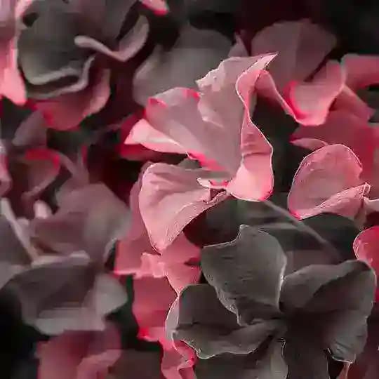 📌قناة رسمية حملة وعـي حقائق وأوهام الجوال⏳