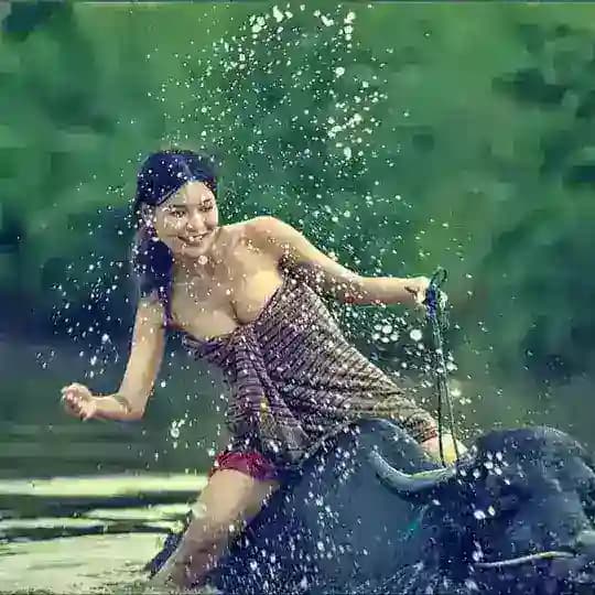 မြမြ အောကား ချောင်းရိုက်
