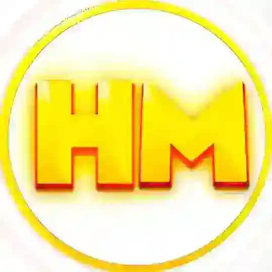 HoolMC - Лучший проект!