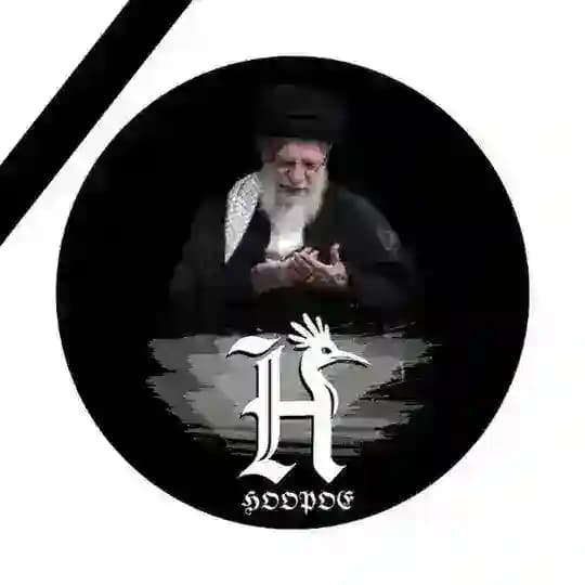 الهدهد | 𝕳𝖔𝖔𝖕𝖔𝖊