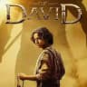 HOUSE OF DAVID SERIES