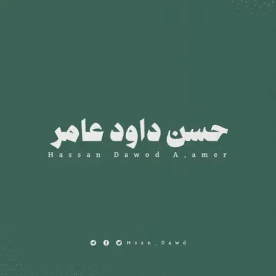 حسن داود عامر
