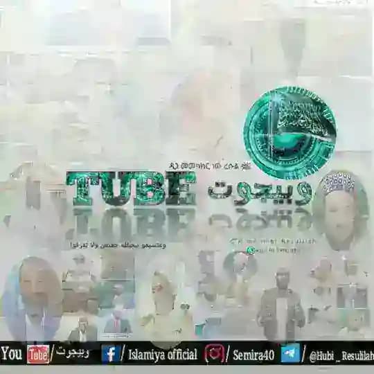وبيجوت Tube