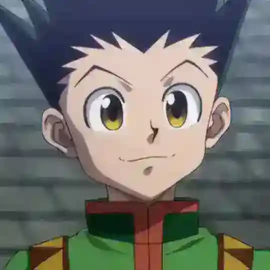 Hunter X Hunter VF 🇫🇷