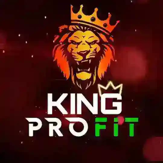 💰King Profit💰 Хайп Мониторинг