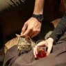 ﮼أفاطِم 𐙚.