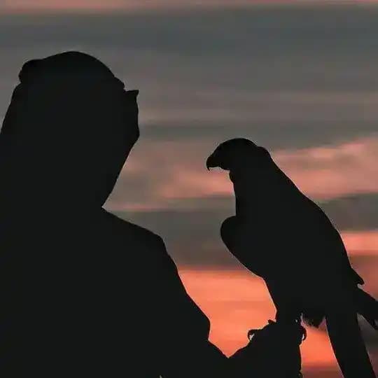 تـخـص الـشـعـر