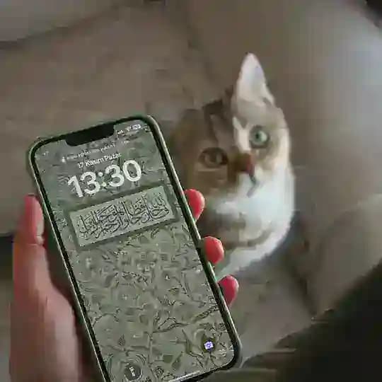 بسمـةُ أمَـل 🌱.