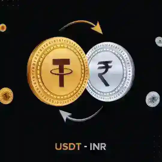 INR Exchange USDT