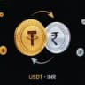 INR Exchange USDT
