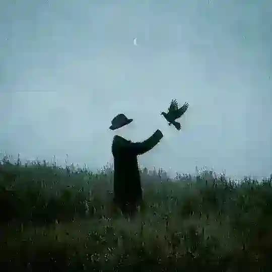 مجهول