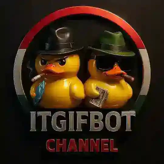 ITGIF | ایت گیف