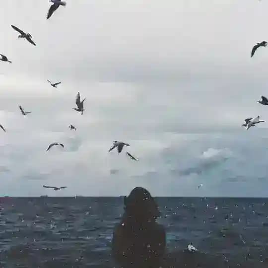 𝗠𝗢𝗢𝗡