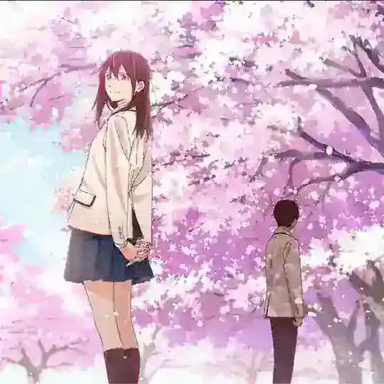 I Want to Eat Your Pancreas in Hindi & English Tamil Telugu Malayalam Kannada Japanese Movie HD 480p
