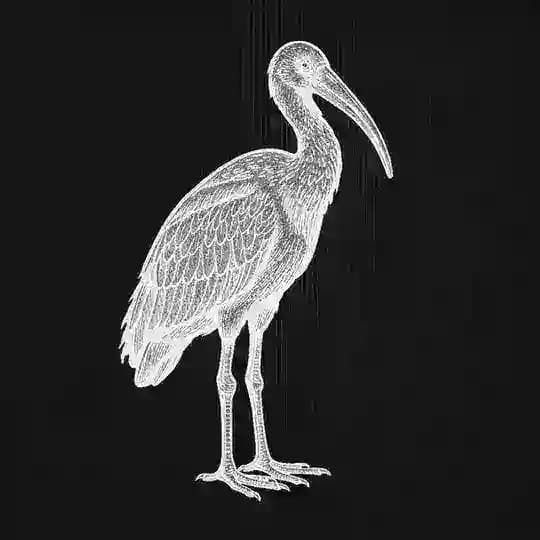 Portal Ibis
