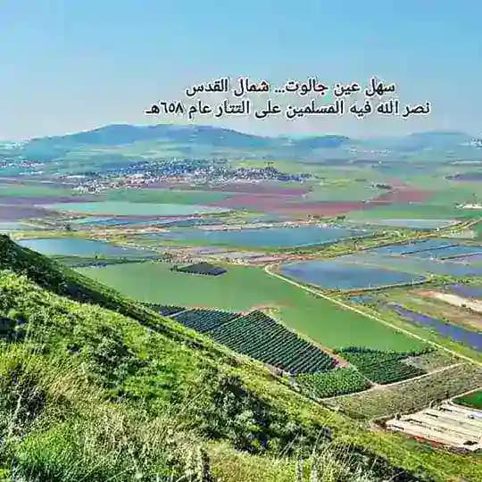 مَنصُور المَنصُور