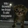 Id Channel