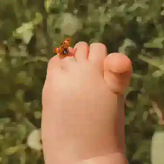 لـ طَيبه .
