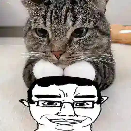 Инцeлоэстетика