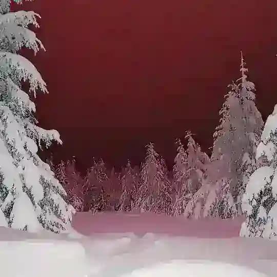 Infernal fields