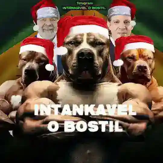 INTANKAVEL O BOSTIL