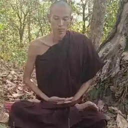 International ဝိမုတ္တိဥာဏဓမ္မအရှင်ကုသလ တရားစခန်း (ဝိမုတ္တိInformation) Profile